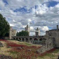 Фото отзыва 3: экскурсия "Экскурсия по лондонскому Тауэру"