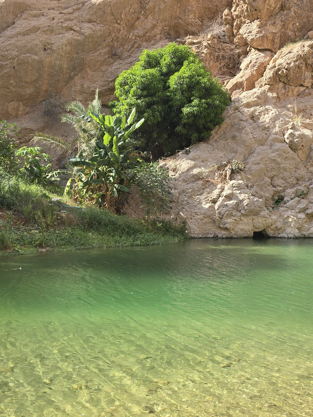 Моя третья экскурсия от Трипстера за время пребывания в Омане, и пожалуй, самая активная. С гидом