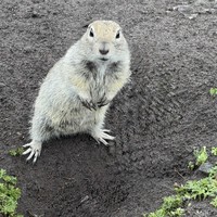 Фото отзыва 1: экскурсия "Природа Северного Приэльбрусья: Джилы-Су, плато Шаджатмаз и многое другое (из Кисловодска)"