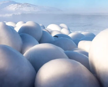 Прогулка по Териберке, выход в море на поиск китов, посещение фермы северных оленей и хаски