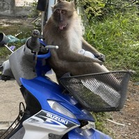 reviews img
