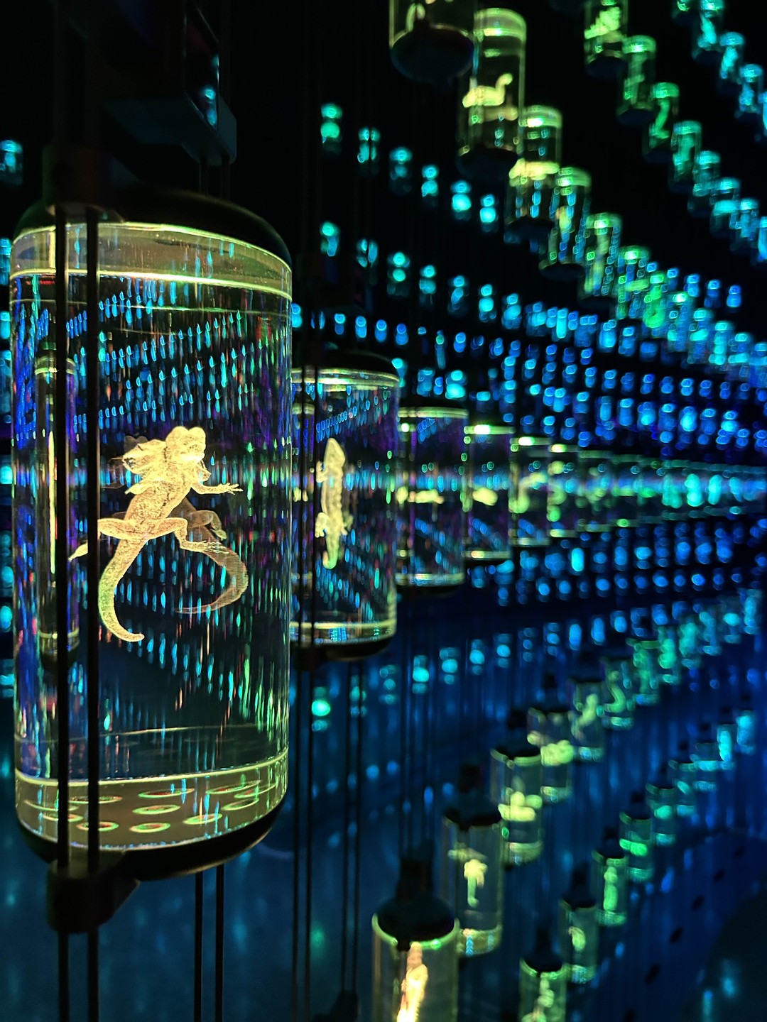 В целом все очень понравилось: