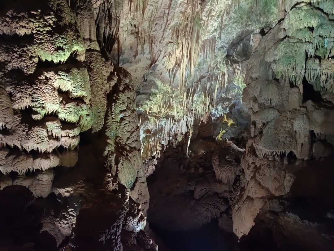 Ездили с Георги, очень пунктуальный, вежливый. Комфортное вождение, ребенок в пути смог поспать сзади, поездка не