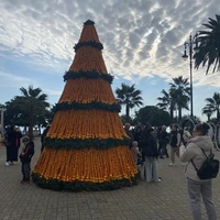 Фото отзыва 2: экскурсия "В сердце Абхазии: Сухум + Черниговка + термальный источник"