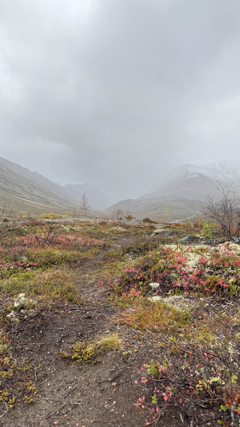 Очень понравился тур. Гиды очень интересно рассказывают и показывают самые красивые места, учитывают состояние участников во