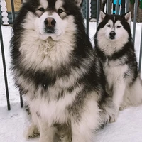 Фото отзыва 6: экскурсия "Усьвинские столбы и Каменный город за 1 день!"