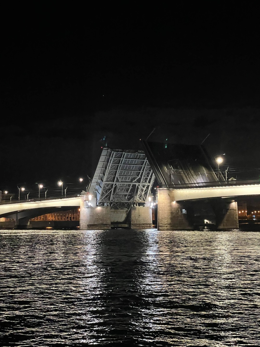 Пять разводных мостов - на теплоходе с гидом (Марина)