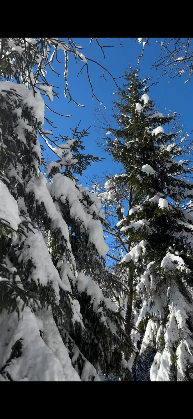 Абхазия с открытки - из Сочи и Адлера (Юлия)