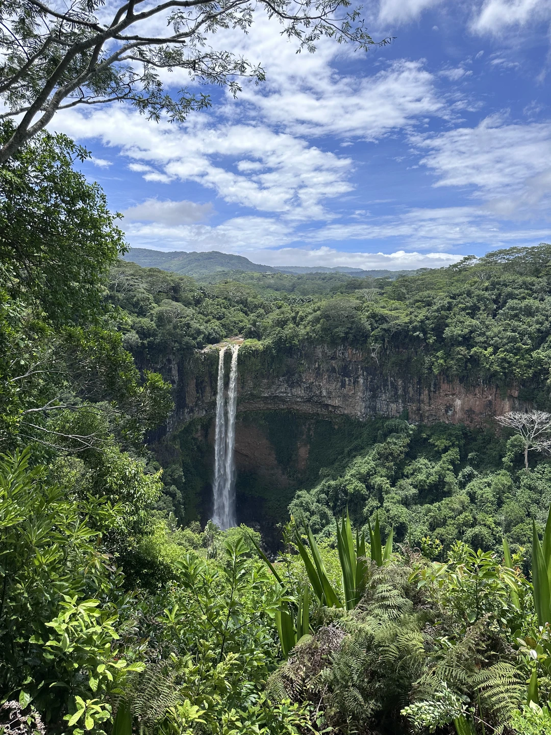 Хотим сказать огромное спасибо Ольге за экскурсию! Она прошла на одном дыхании, было очень интересно, познавательно