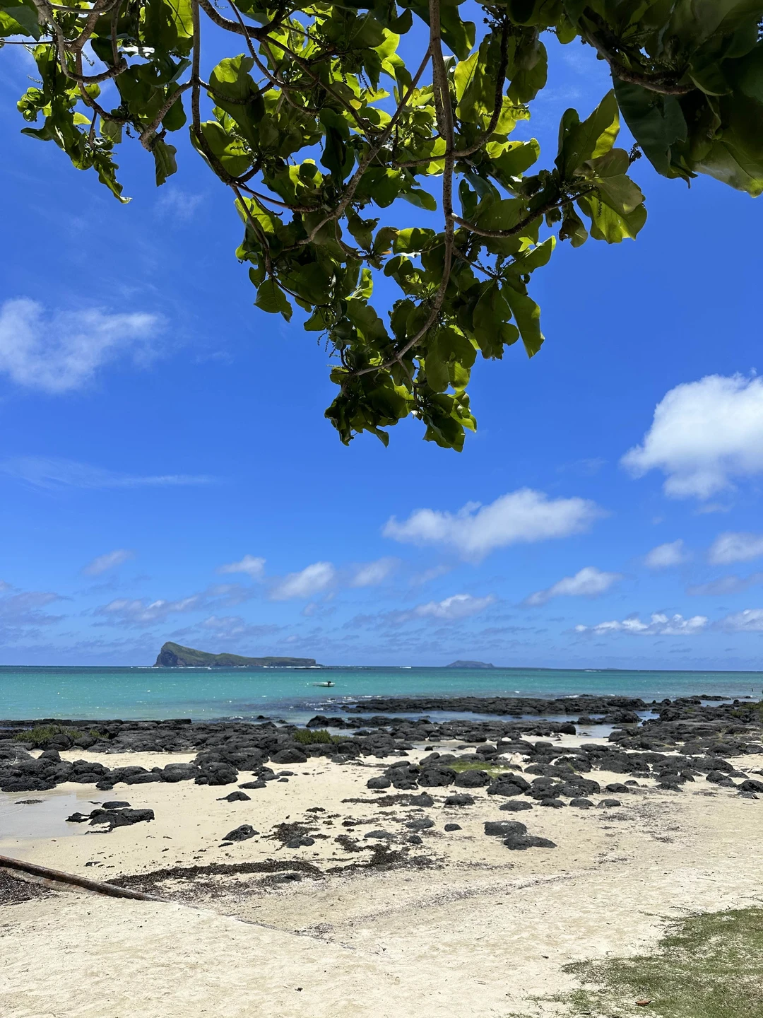 Анна, спасибо за прекрасно проведенный день! Первое впечатление об острове, которое мы получили благодаря вам, потрясающее!