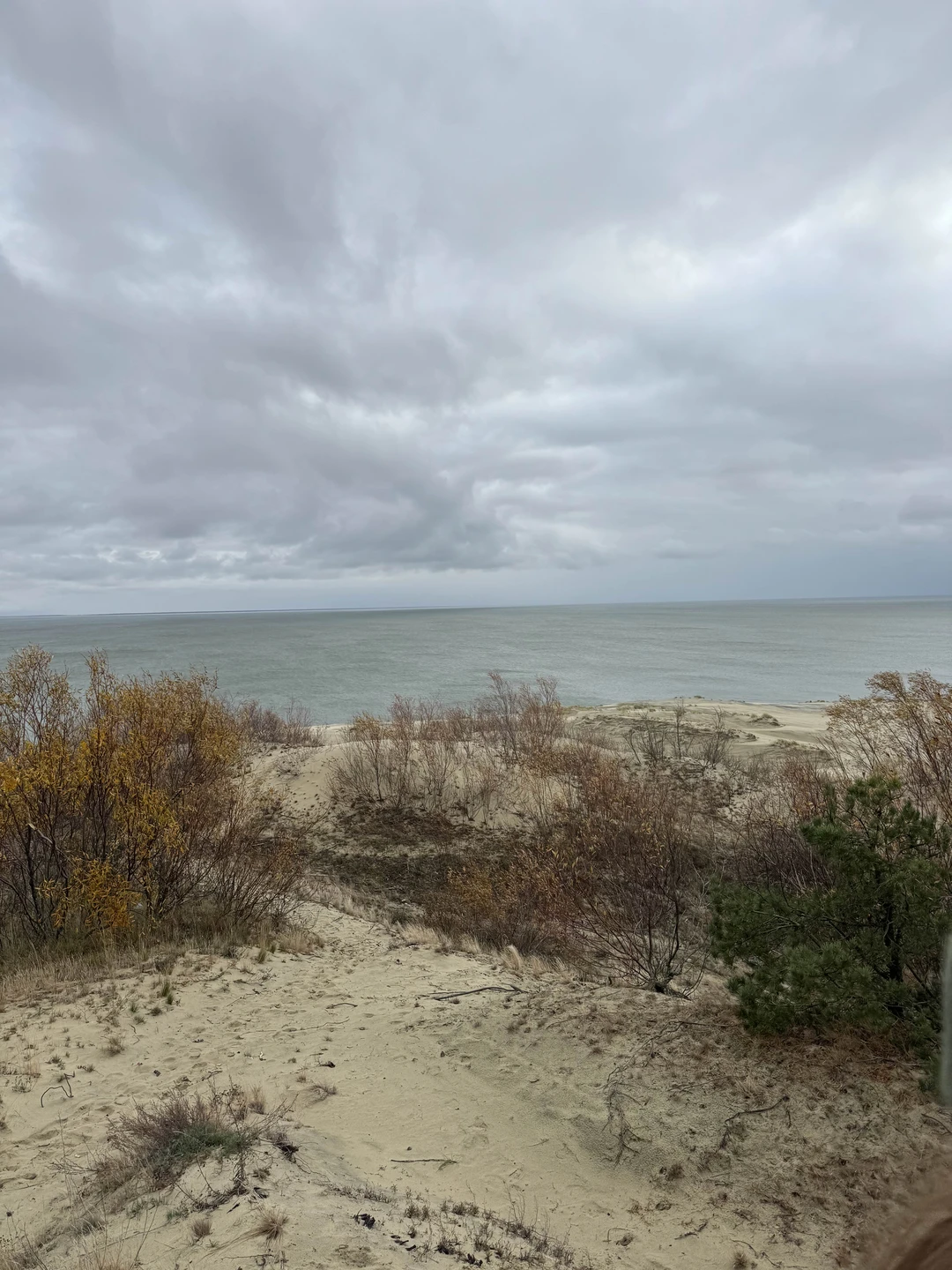 На Куршскую косу с опытным гидом - из Калининграда (Анна)