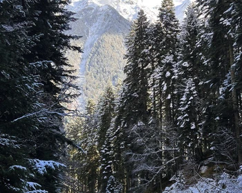 Кундалини-йога, Белые водопады и практики на природе