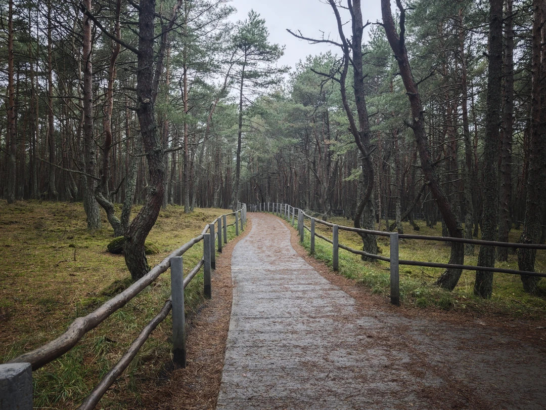 Отличная экскурсия, всем рекомендую!!! Гид прям молодец, интересно рассказывал, было свободное время, в общем 5+