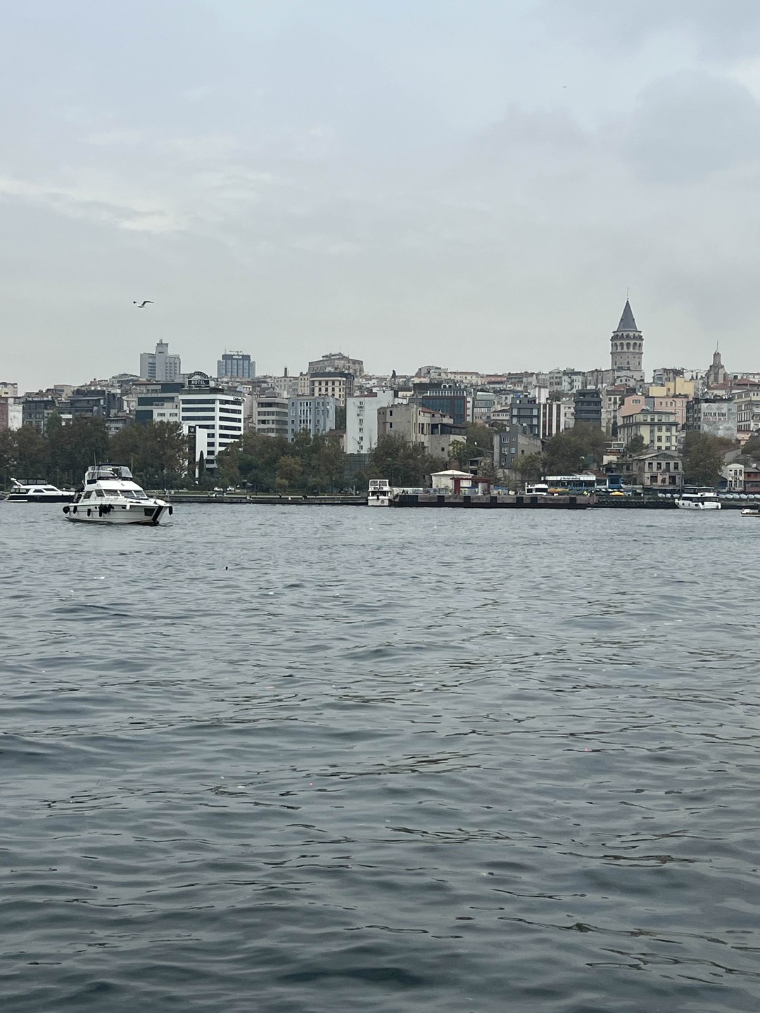 Всё понравилось!