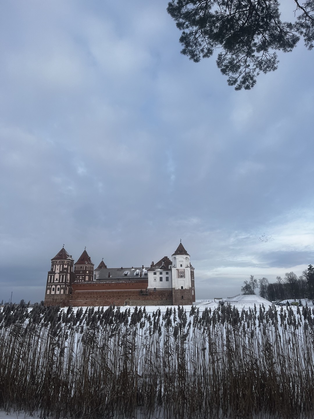 Групповая экскурсия в замки Мир и Несвиж (обед включен) (Ксения)