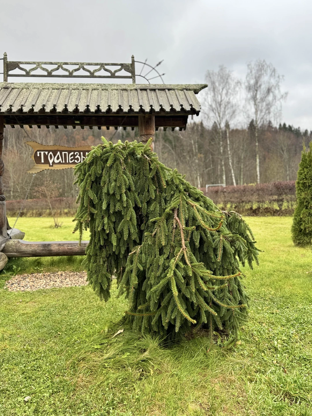 Отличная экскурсия!