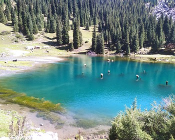 Семёновское ущелье и озеро Суттуу-Булак