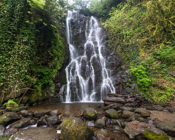 Водопад Мирвети и Самшитовый лес