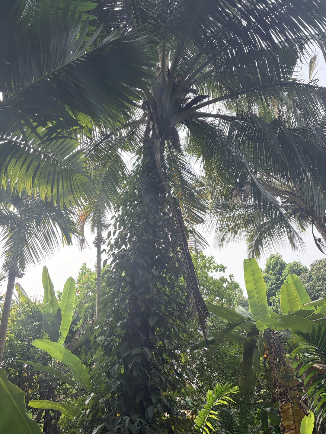 Очень красивые места и интересная и богатая история