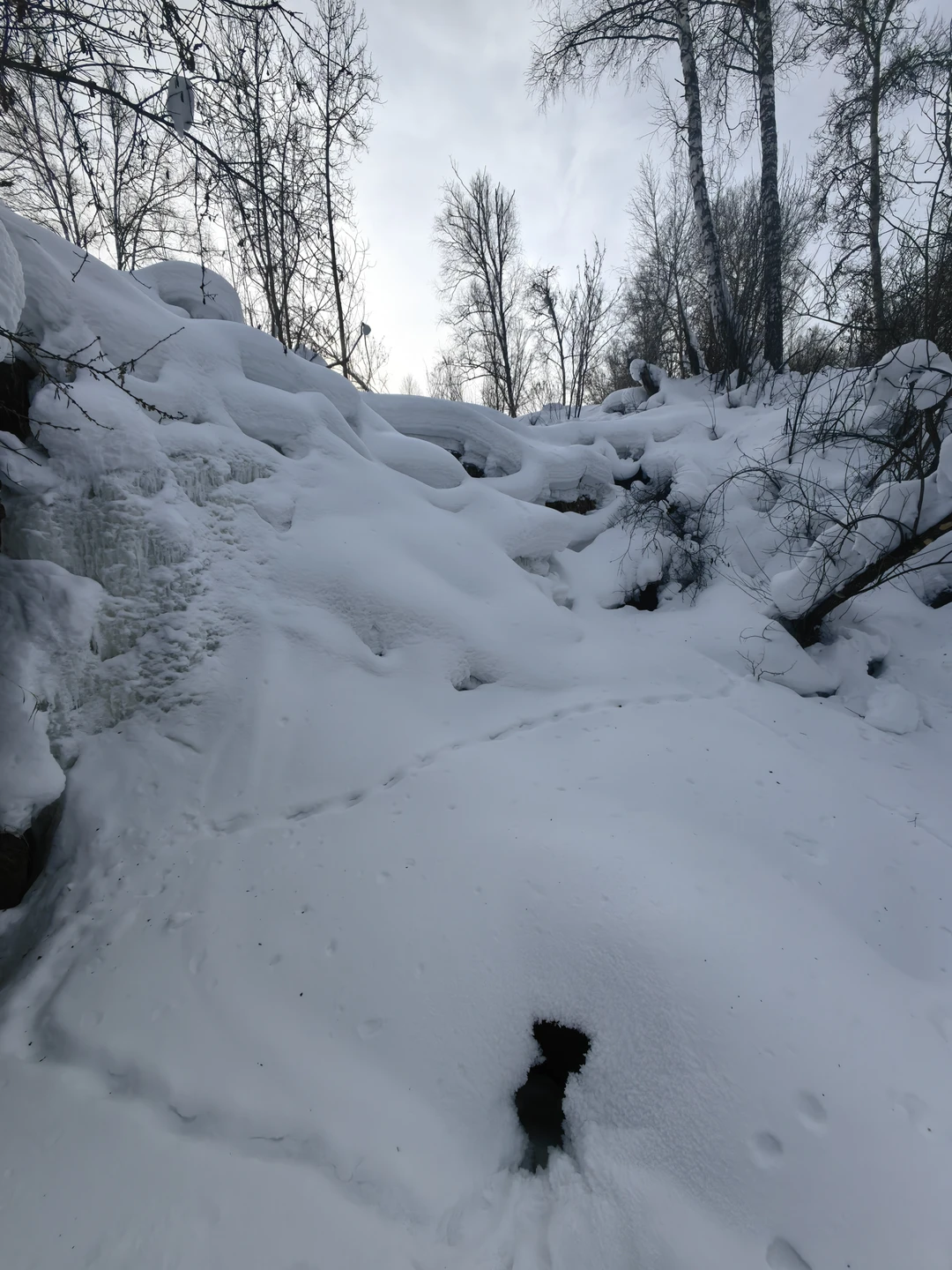 Организация прекрасна. Ольга прекрасный разказчик. Маршрут удобный, пешая часть не сложная. Отличным дополнением был обед в