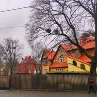 Фото отзыва 7: экскурсия "Авторская экскурсия по Амалиенау с его жителем"