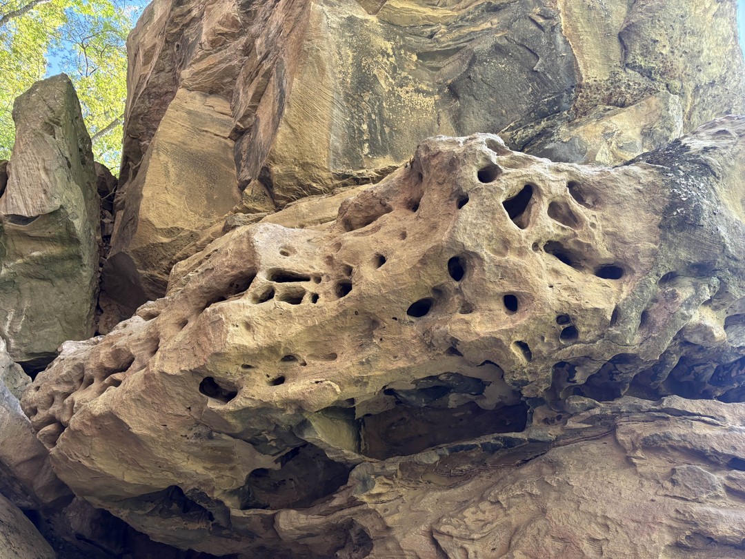 Из Кисловодска в Домбай: путешествие на джипе в группе (Наталья)