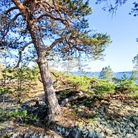 Фото отзыва 2: экскурсия "Ладожские шхеры из Сортавалы: групповая прогулка на катере"