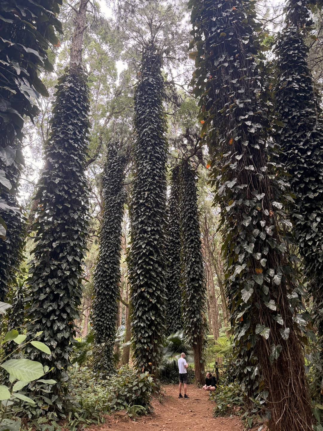Отличная экскурсия. Дарья - великолепный гид, рассказывала все очень интересно, все локации на экскурсии красивые, никто
