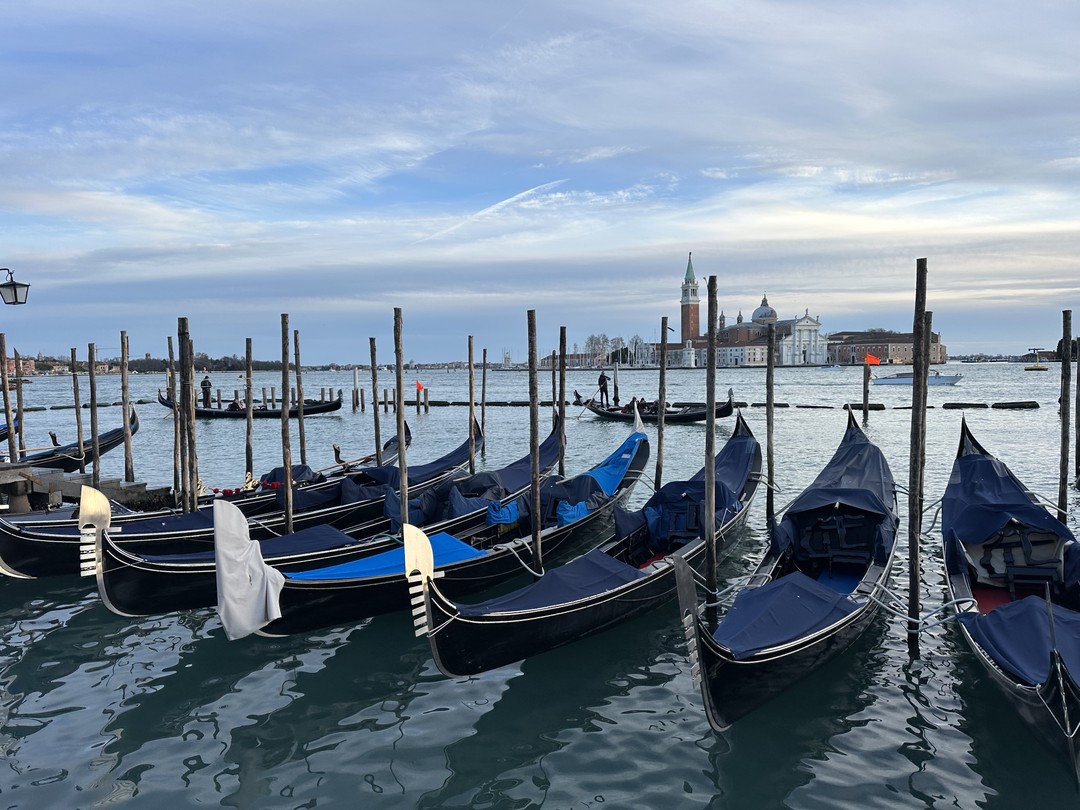 Знакомство с Венецией прошло на высшем уровне через Татьяну! Очень интересно! Очень комфортно с этим человеком на экскурсии! Рекомендую всем!