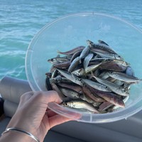 Фото отзыва 1: экскурсия "Адлер: морская рыбалка, обед из улова и купание в Чёрном море"
