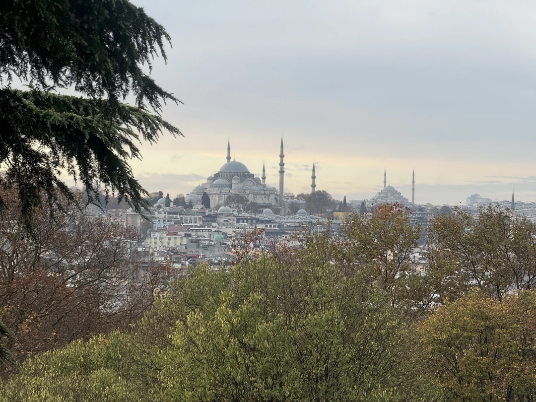 Рушен знает свое дело, провел экскурсию, ответил на наши вопросы, подсказал, что еще посмотреть, куда стоит