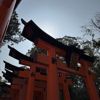 Фото отзыва 1: экскурсия "Духовная столица — Киото"