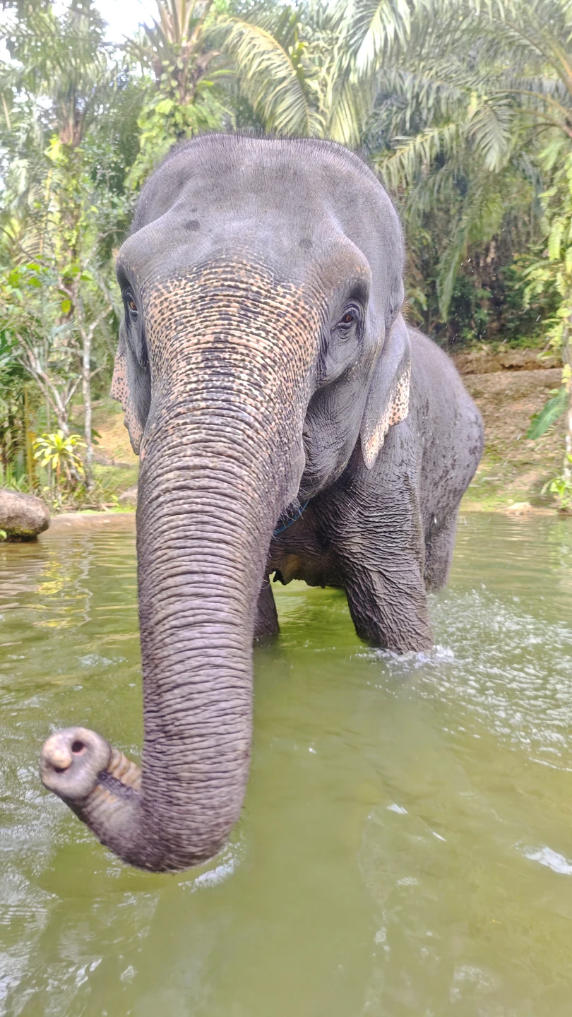 Экскурсия понравилась! Места красивые, группа небольшая, без больших толп на локациях. Красиво, интересно, большое спасибо!
