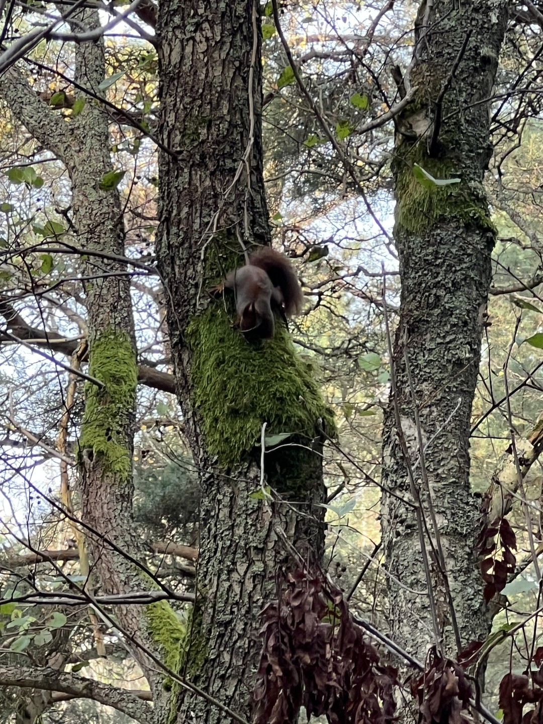 Замечательно провели время! Так нежно и так бережно берегут калининградцы рукотворный нетронутый цивилизацией маленький клочок земли!