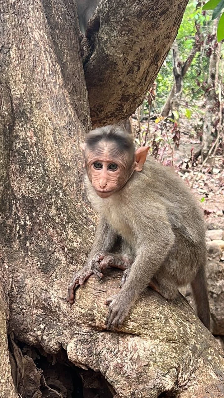 Огромное спасибо Наталье за чудесное приключение!