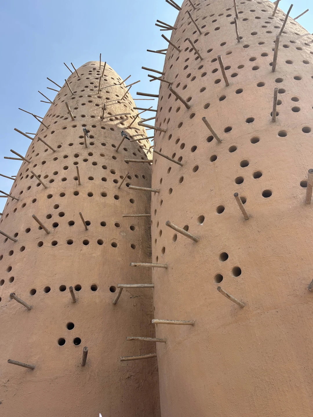 Добрый день, бронировали индивидуальную экскурсию по Катару на 3 семьи. Нашим гидом была Дарья. Учитывая, что