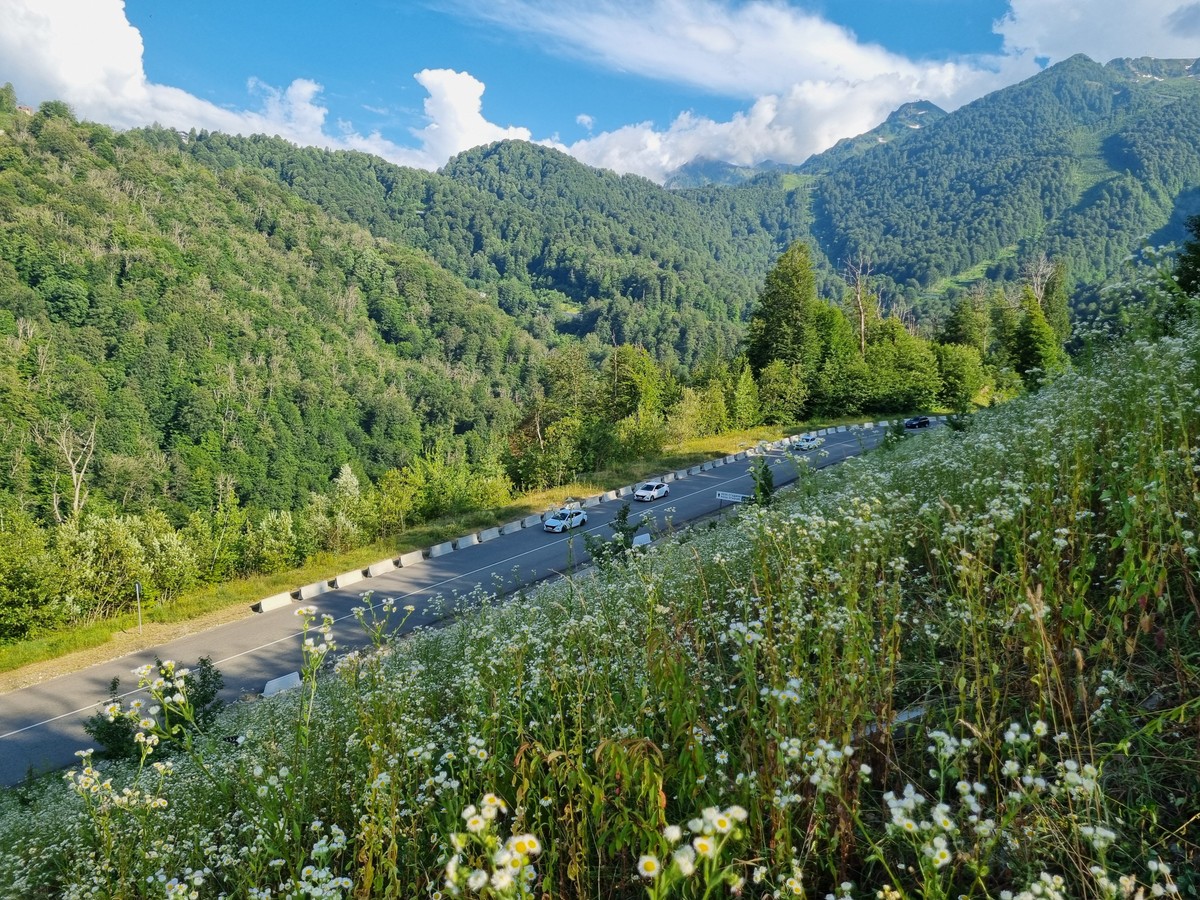 Старая новая Красная Поляна (8/11)