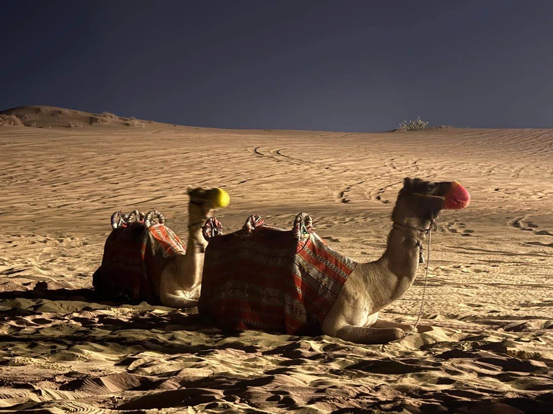 Это бомба 💣!!! Выбирали время ближе к закату, привезли, дождались очереди и погнали на Toyota по