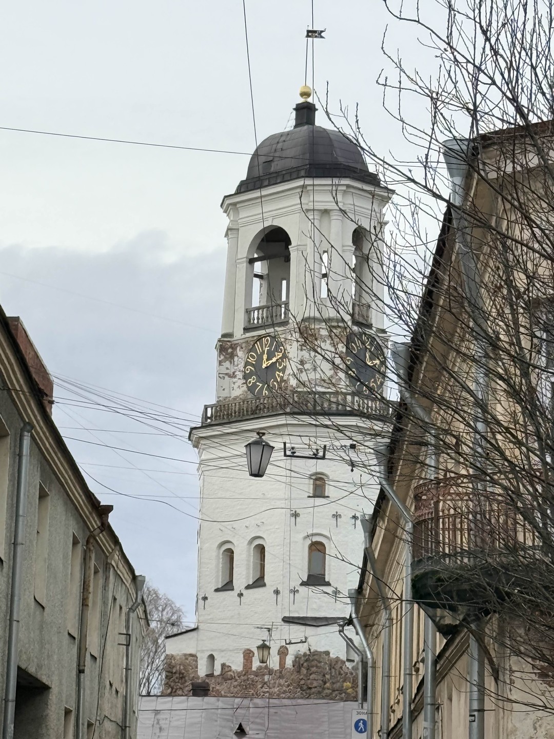 Однодневная экскурсия из Петербурга в Выборг на автобусе (Екатерина)