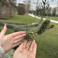 Фото отзыва 1: экскурсия "По парку Галицкого — в мини-группе"