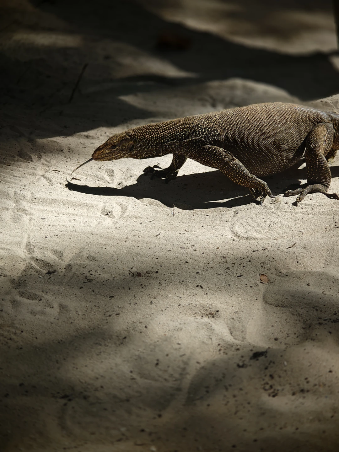 Морская прогулка к Симиланским островам (Руслан)