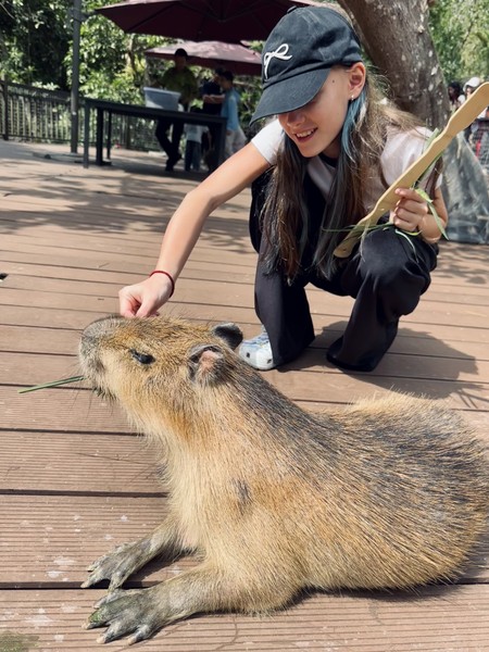 отличная прогулочная экскурсия! Экскурсич заняла 5 часов, как и было заявлено. Очень красивые виды открываются с
