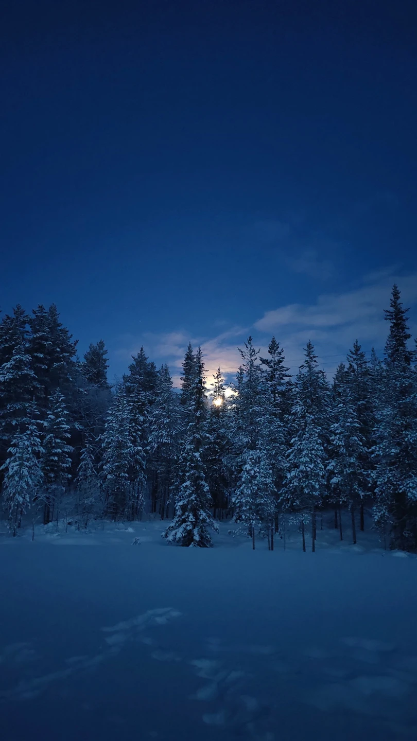 Андрей просто замечательный гид!