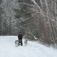 Фото отзыва 3: экскурсия "В Большое Голоустное на берегу Байкала — за тишиной и вдохновением"
