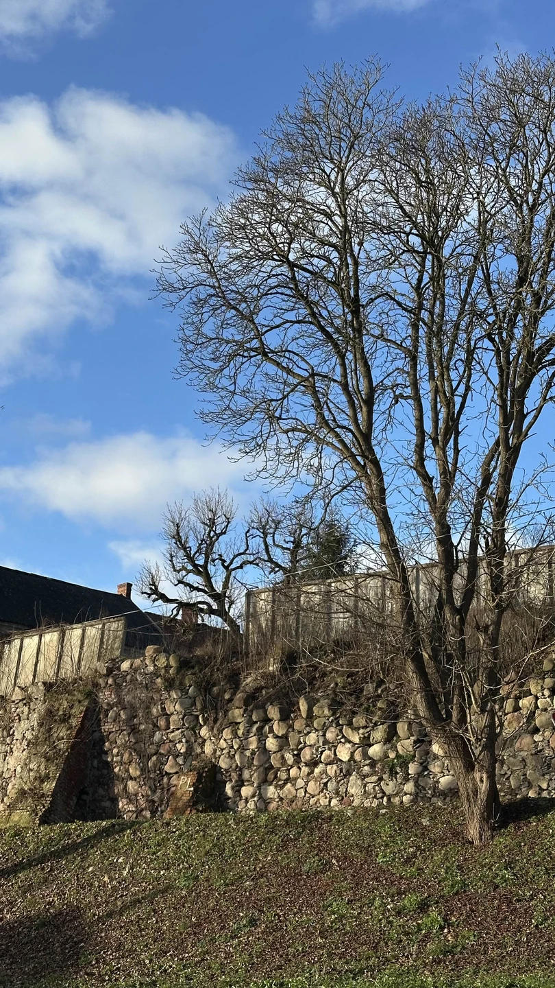 На поиски ускользающей Восточной Пруссии - путешествие в Черняховск в мини-группе (Ольга)