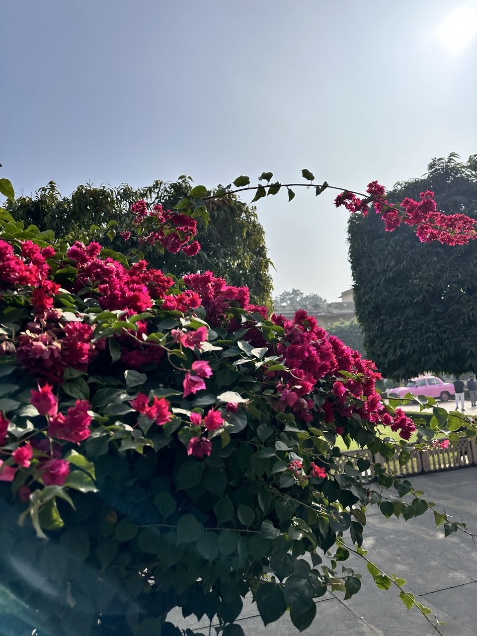 Была в январе в Джайпуре. Погода была солнечная и относительно теплая