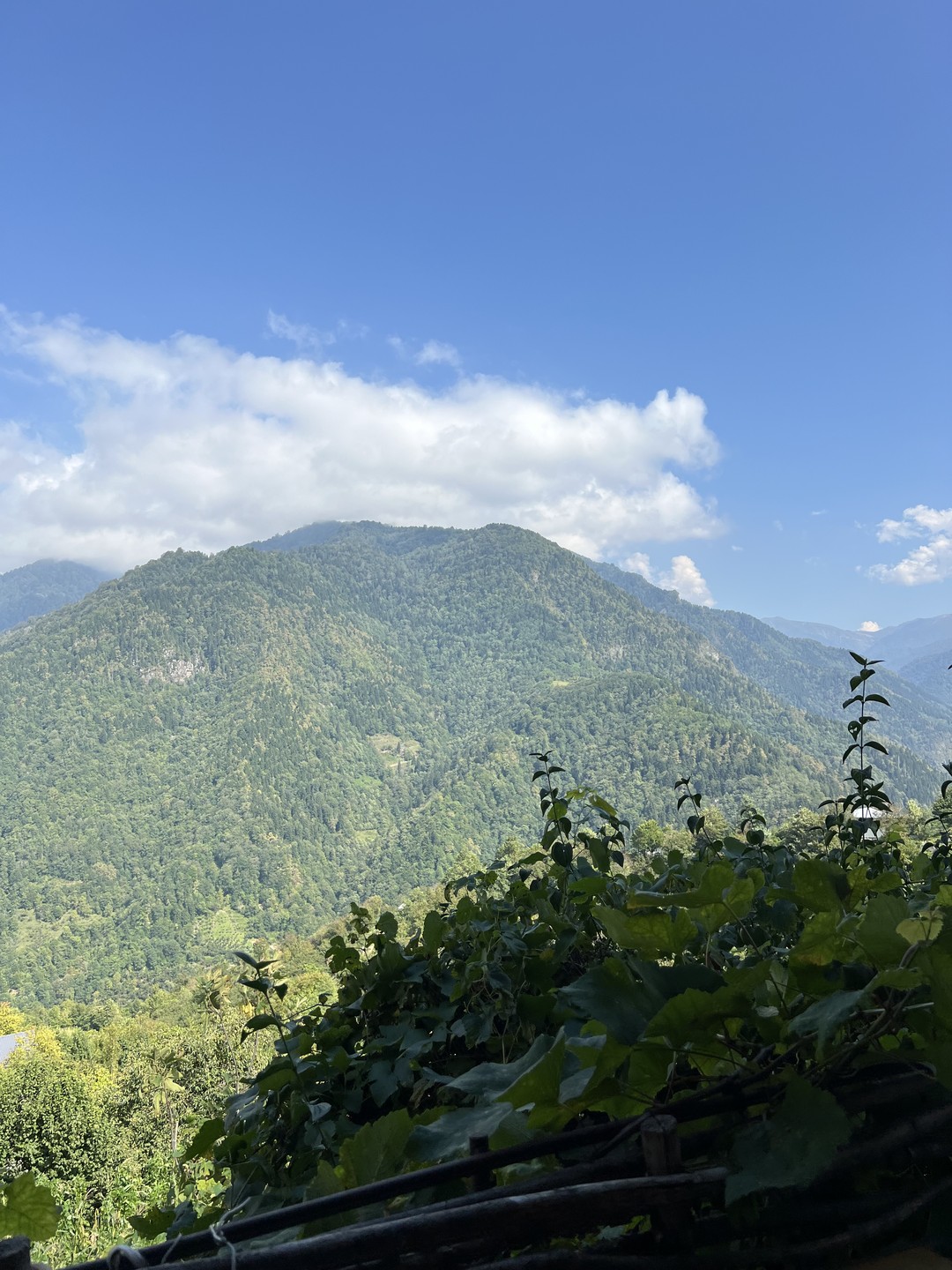 Хочу поблагодарить Malkhaz за прекрасную экскурсию. Экскурсия была очень познавательная и интересная. Мы насладились всеми видами