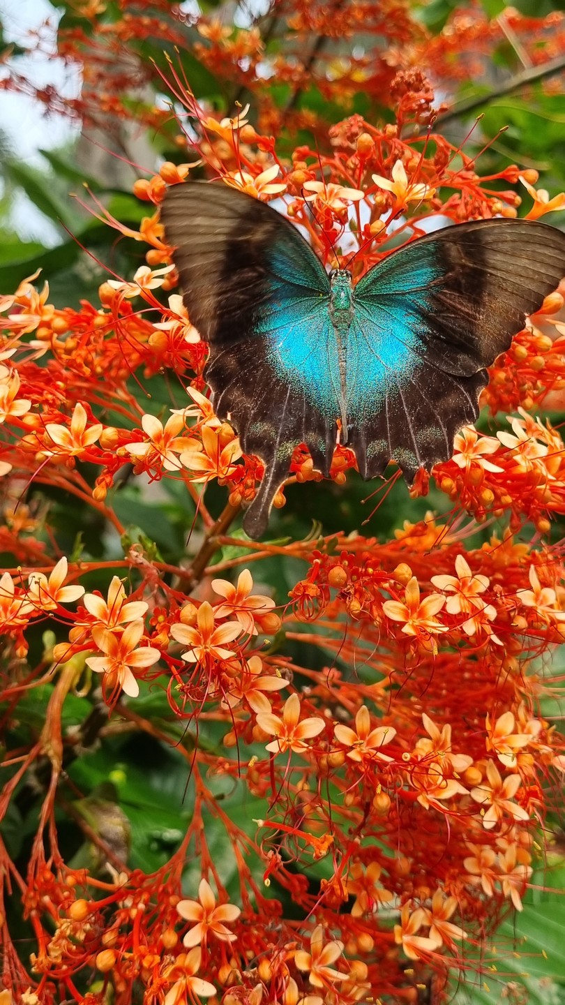 Отличный гид на Бали!