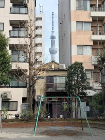 Фото отзыва 1: экскурсия "Самые-самые места Токио"