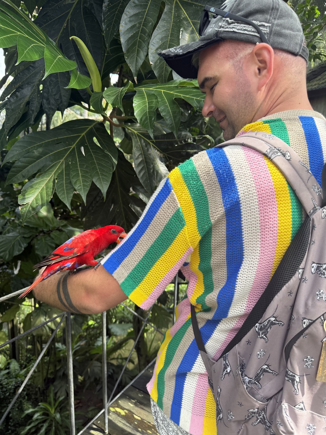 Ездили на экскурсию с Абу, интересная, зрелищная экскурсия. Рисовые террасы - это любовь навсегда. Парк птиц